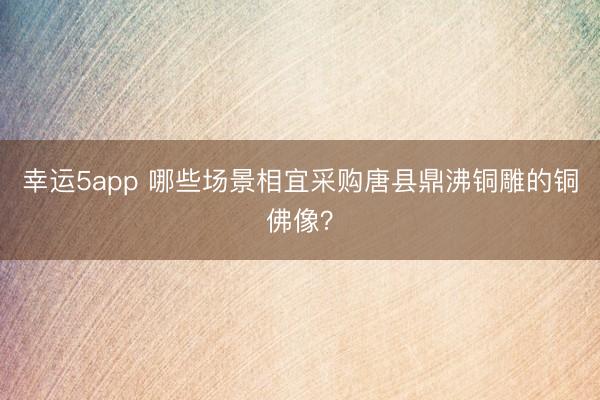 幸運(yùn)5app 哪些場(chǎng)景相宜采購(gòu)唐縣鼎沸銅雕的銅佛像？