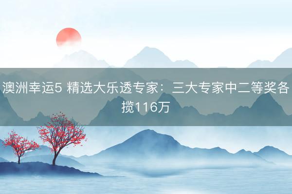 澳洲幸運(yùn)5 精選大樂透專家:三大專家中二等獎(jiǎng)各攬116萬