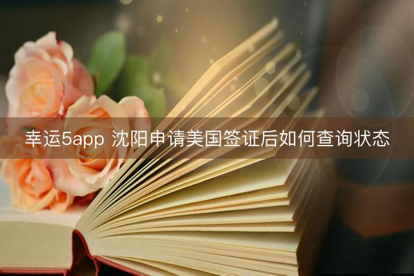 幸運5app 沈陽申請美國簽證后如何查詢狀態